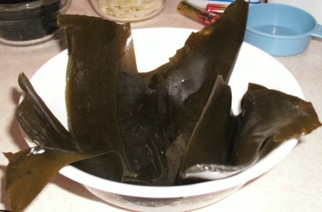 The infamous kombu (after). Terrifying, ain't it?